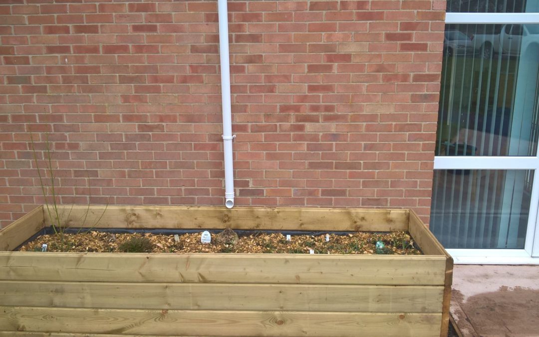 Planting day at Middleway