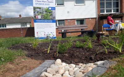 Community planting day at Middleway