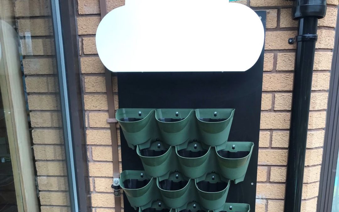 Exciting new SuDS features at Holway Park Primary