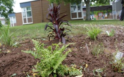 Planting days at our 5W schools