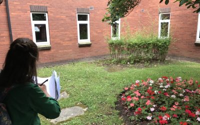 Demo Raingardens in Taunton
