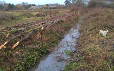 Lots of ideas for Longrun Meadow